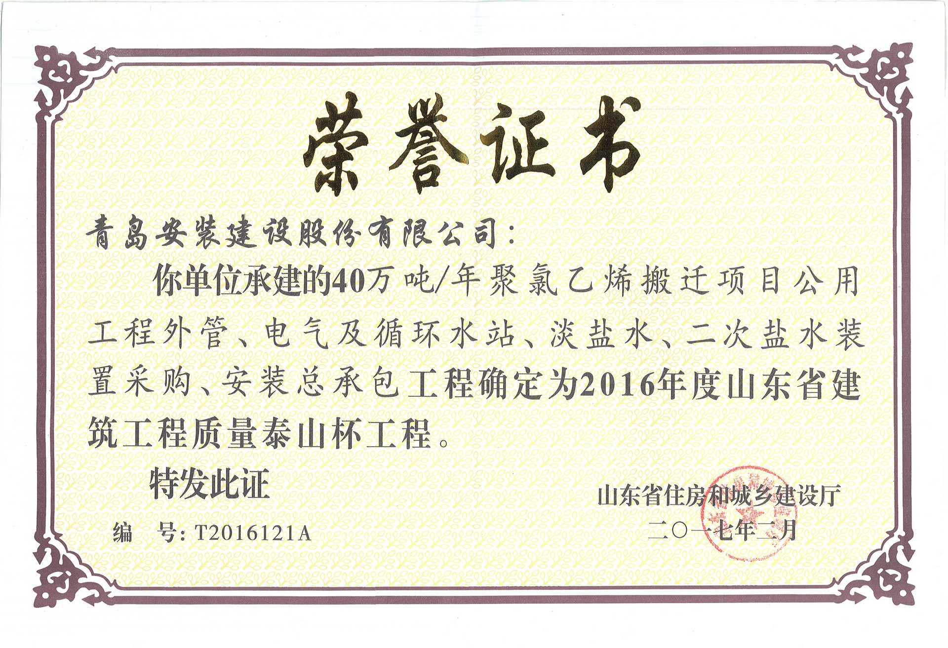 16泰山杯-40万吨年聚氯乙烯搬迁项目.jpg