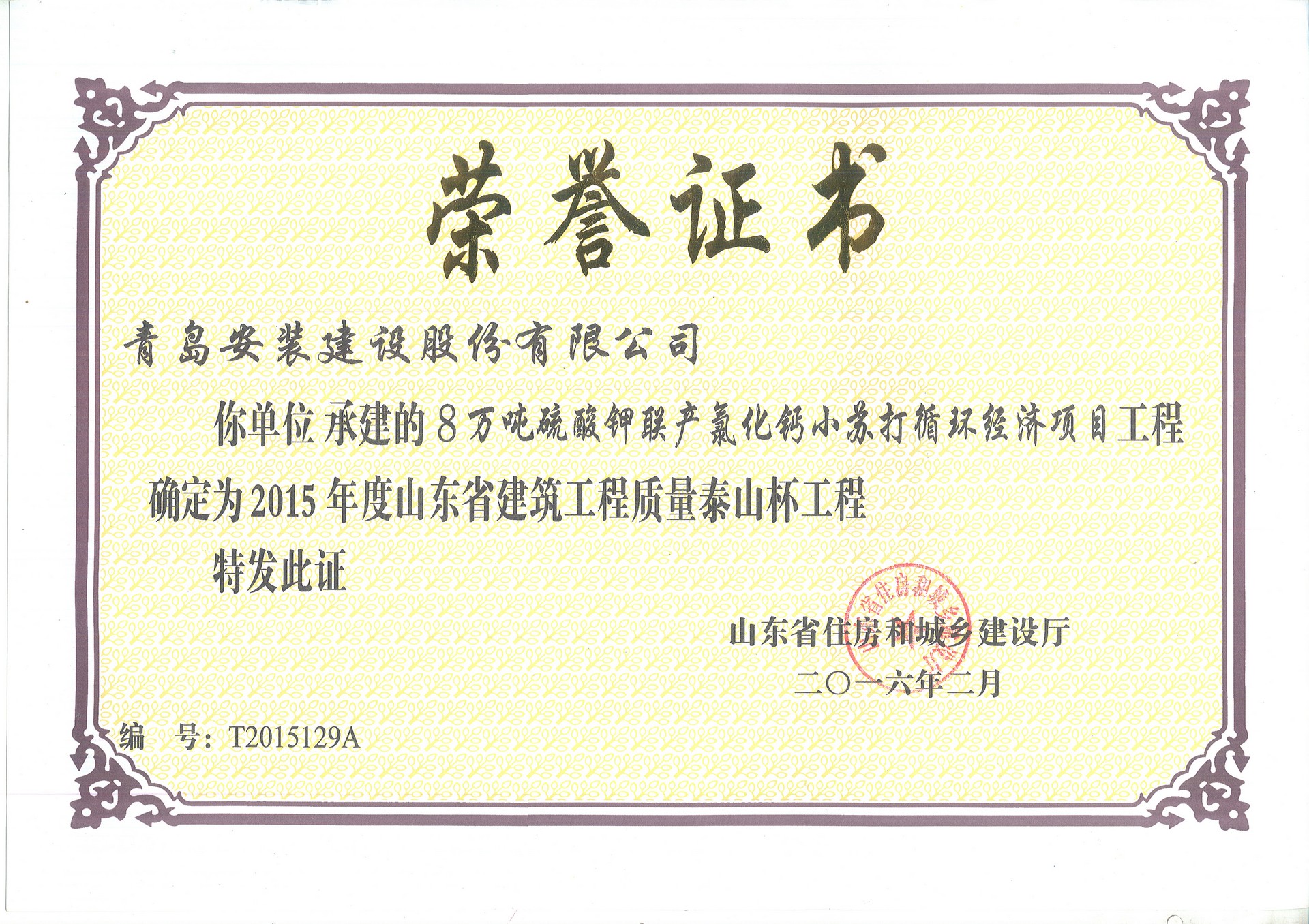 15年泰山杯-8万吨年硫酸钾联产氯化钙小苏打循环经济项目.jpg