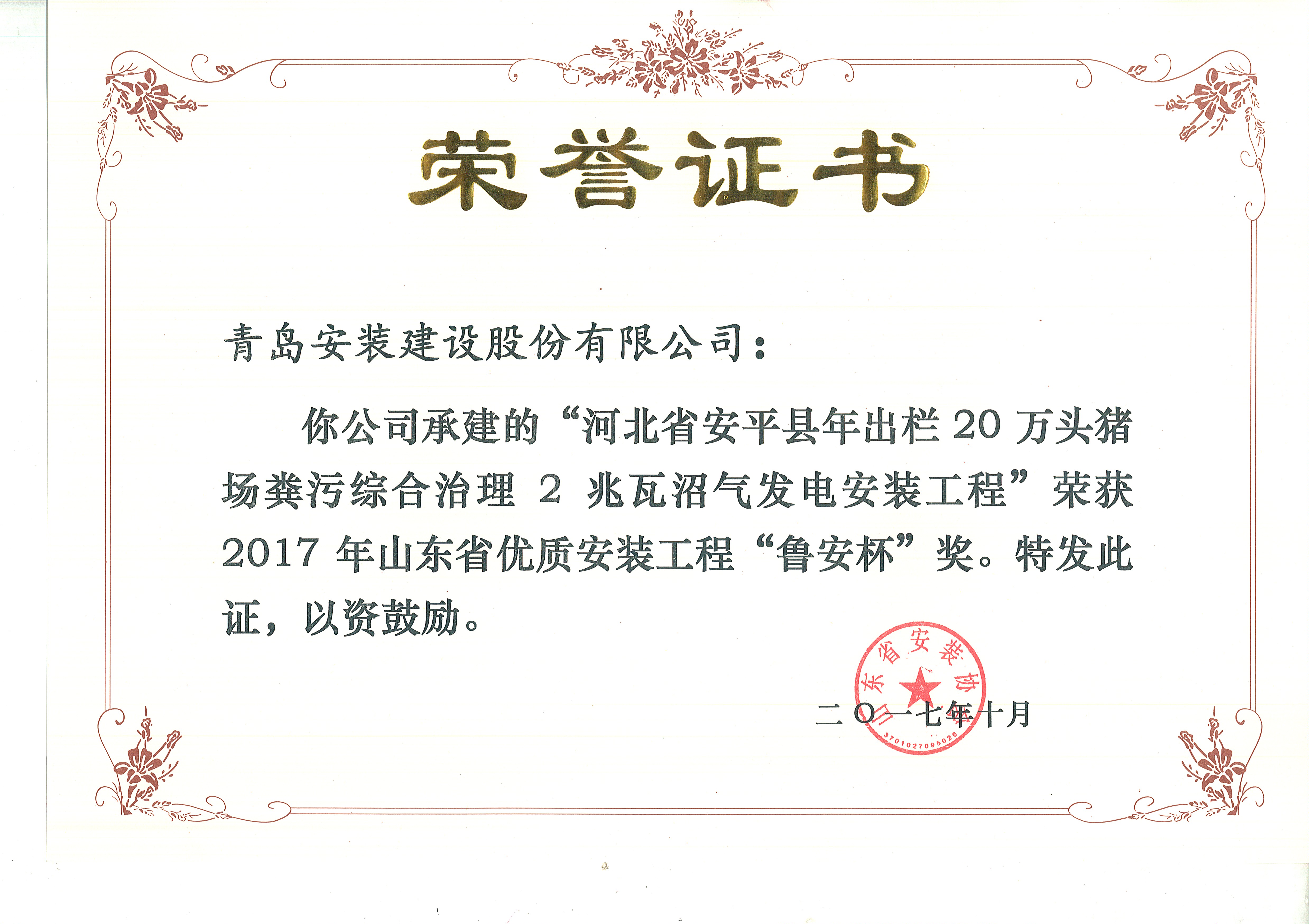 73、17鲁安杯-河北安平2兆瓦沼气发电.jpg